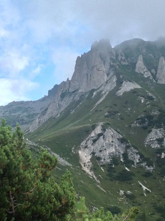 Affittacamere Valle Dorizzo Di Scavoni Paolo Val Dorizzo Exteriör bild